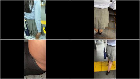 汚された満員電車の聖域。暴れる陰茎が挿入されアヘりながら唖然とする